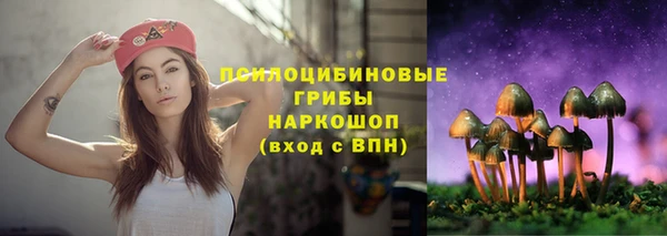 МДПВ Михайловск