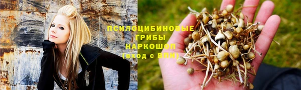 молекула духа Михайловка