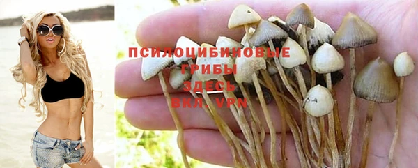 ALPHA PVP Мегион