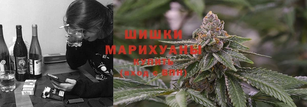 МДПВ Михайловск