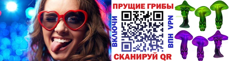 shop какой сайт  Нальчик  Галлюциногенные грибы Cubensis 