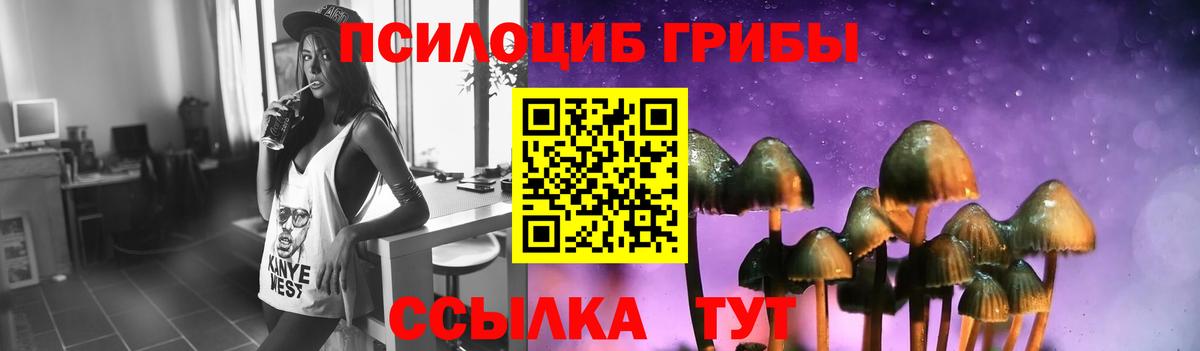 Галлюциногенные грибы Psilocybine cubensis  купить   Нальчик  Вход с VPN 
