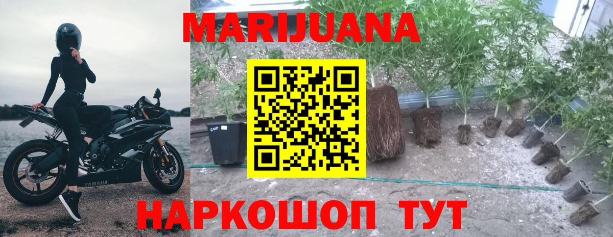 Бошки марихуана AK-47 Нальчик